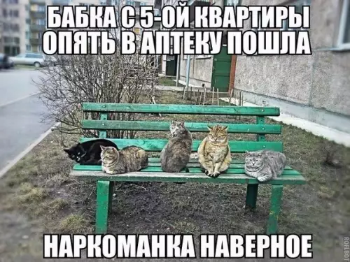 Смешная картинка №184804
