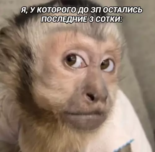 продолжение Смешная картинка №766866