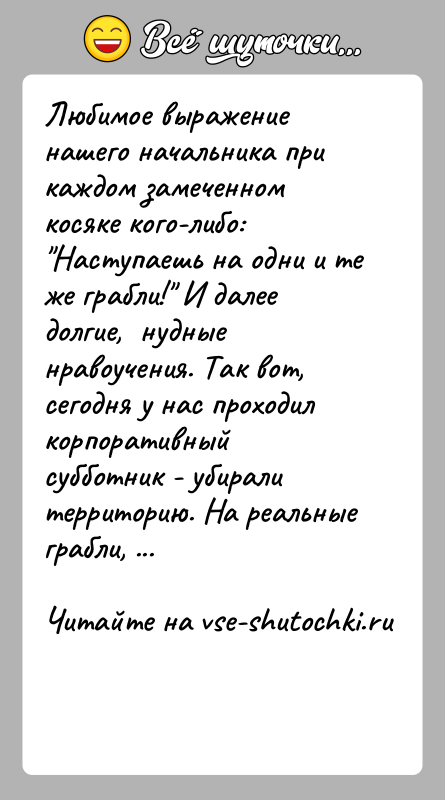 История: Любимое выражение нашего начальника при каждом замеченном косяке кого-либо: Наступаешь на одни и те же грабли! И далее долгие,