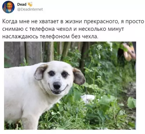 Смешная картинка №506890 Попробуйте, это работает