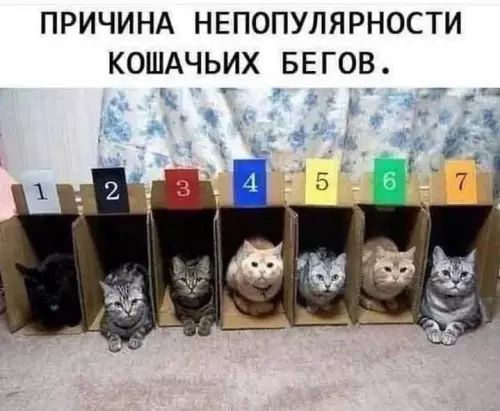 Смешная картинка №687276