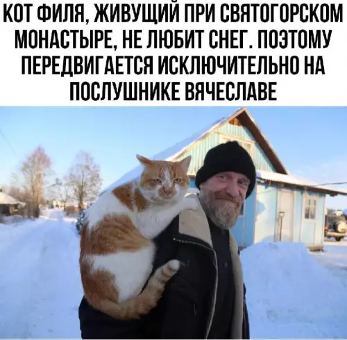 Смешная картинка №671053