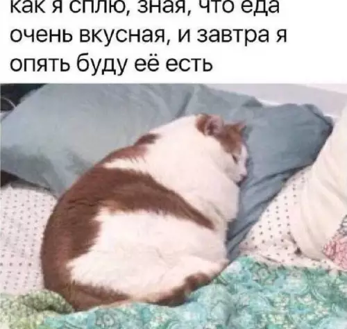 Смешная картинка №754412