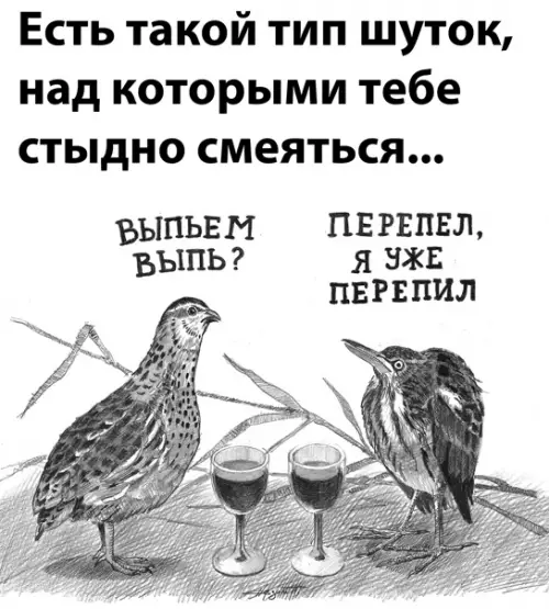 Смешная картинка №559914