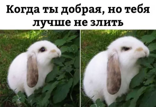 Смешная картинка №229444