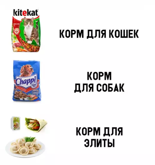 Смешная картинка №307992