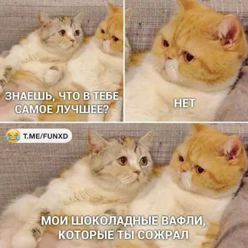 Смешная картинка №665769