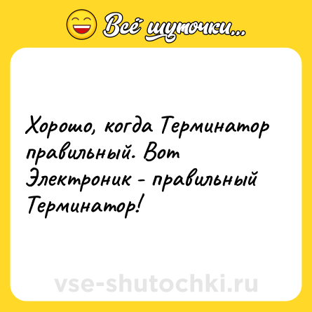 Шутка: Хорошо, когда Терминатор правильный. Вот Электроник - правильный Терминатор!