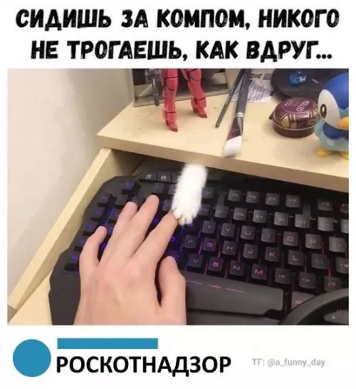Смешная картинка №653299