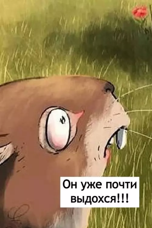 продолжение Смешная картинка №657667