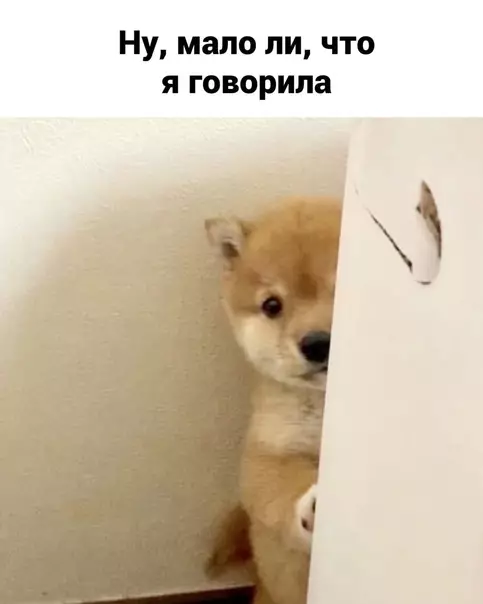 продолжение Смешная картинка №575948