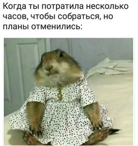 Смешная картинка №290929