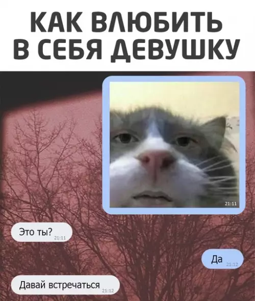 Смешная картинка №515847