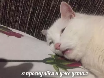 Смешная картинка №783145