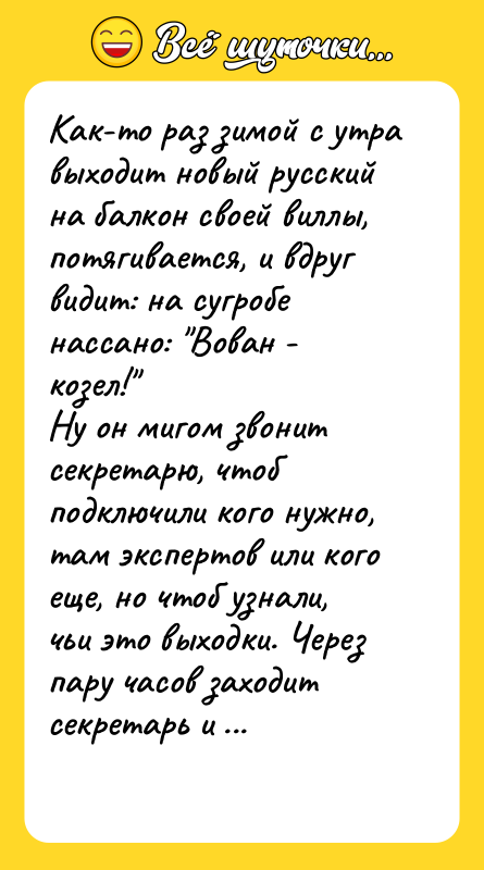 Как-то раз зимой с утра выходит новый русский на балкон