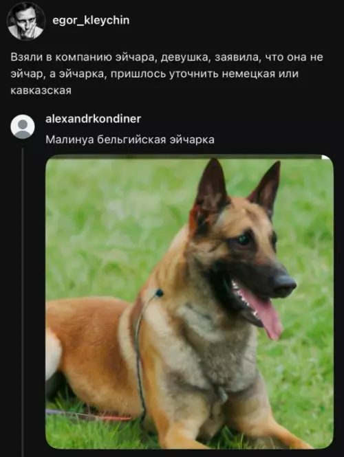 Смешная картинка №821336 Эйчарка Женщины