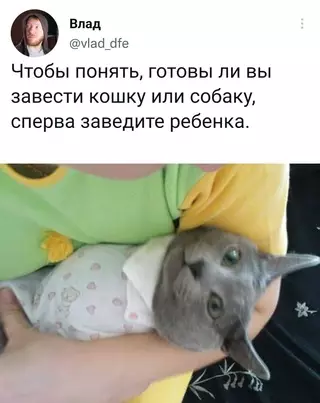 Смешная картинка №661648