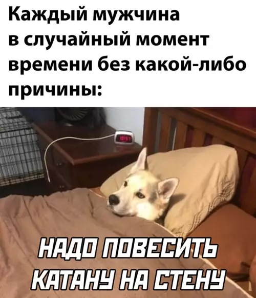 Смешная картинка №641073