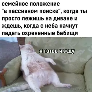 Смешная картинка №701606