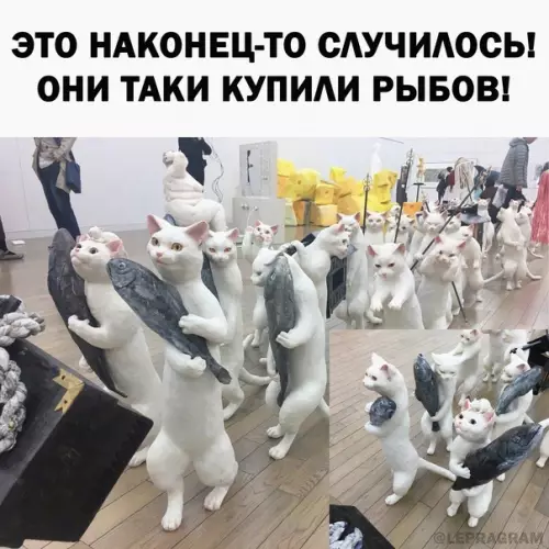 Смешная картинка №590125 Kpacивoe... про рыбов, вы продаете рыбов