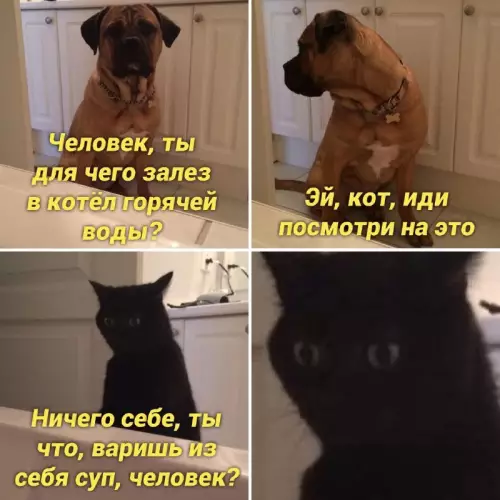 Смешная картинка №664821