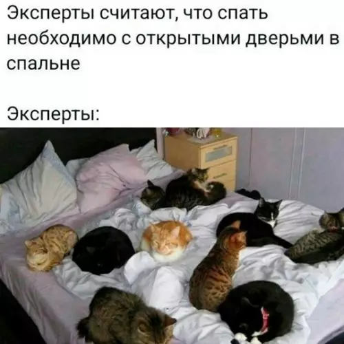 Секрет крепкого сна от профи 🐈‍⬛💤 - Эксперты считают, что спать необходимо с открытыми дверями в спальне.