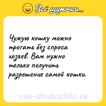 Шутка: Чужую кошку можно трогать без спроса хозяев. Вам нужно только получить разрешение самой кошки.