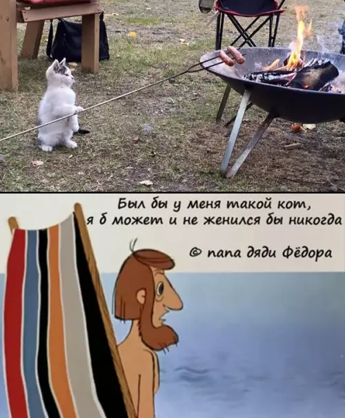 Смешная картинка №237187