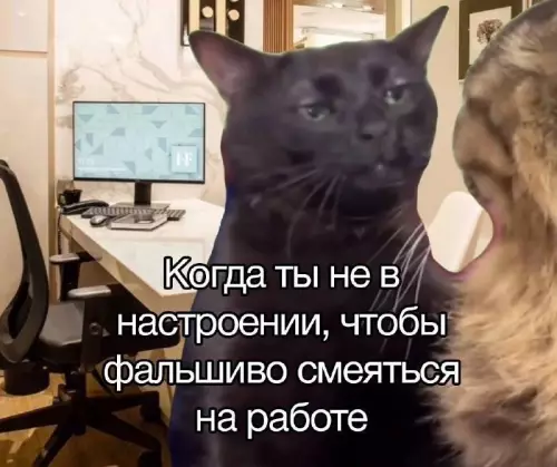 Смешная картинка №765223