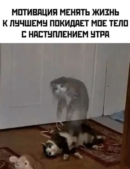 Смешная картинка №756642