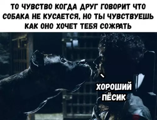 Смешная картинка №214959