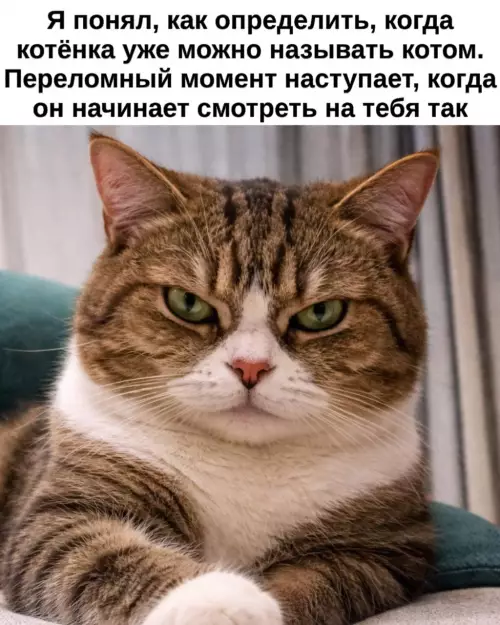 Смешная картинка №809770