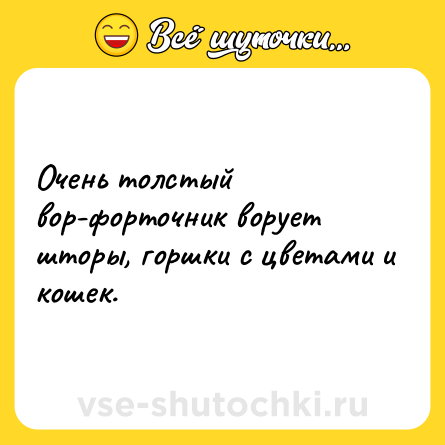 Шутка: Очень толстый вор-форточник ворует шторы, горшки с цветами и кошек.