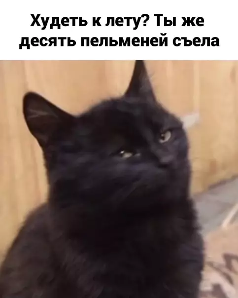 продолжение Смешная картинка №574326