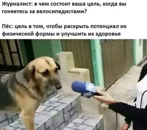 Смешное интервью с собакой