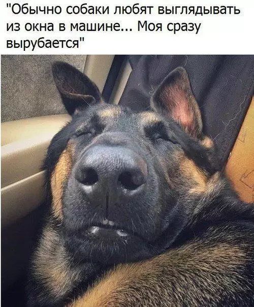 Смешная картинка №395214