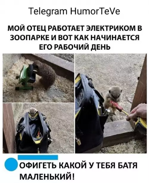 Смешная картинка №679337