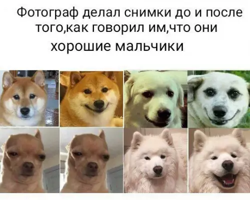 Смешная картинка №224502