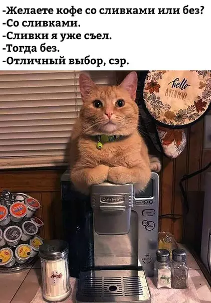 Смешная картинка №273336