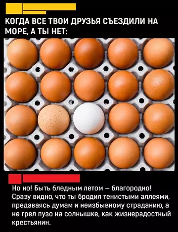 Смешная картинка №776660 Лето