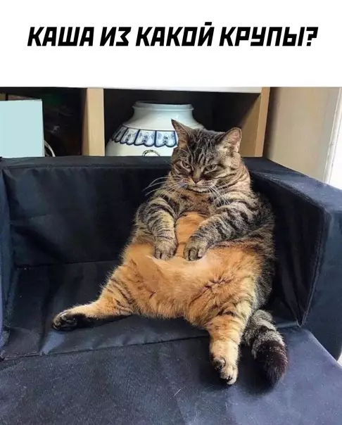 продолжение Смешная картинка №584399
