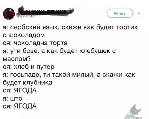 Смешная картинка №315598