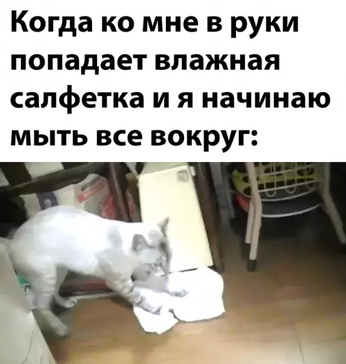 Смешная картинка №640326
