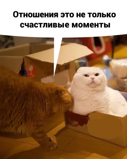 Смешная картинка №554578