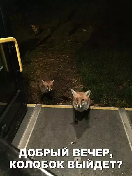 Смешная картинка №226880