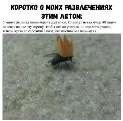 Смешная картинка №291162