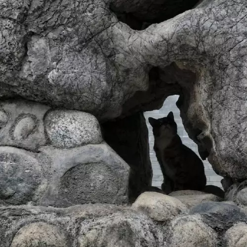 Кот-хранитель древних тайн 🐈‍⬛⛰️ - Пещера тысячи лет ждала этого момента
