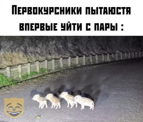 Смешная картинка №390278 #приколы #картинки #мемы ?