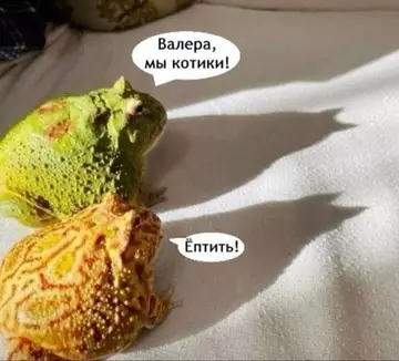 Смешная картинка №755875