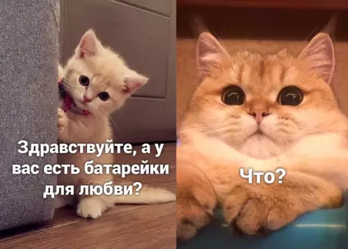 Смешная картинка №502986